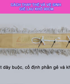 Cay-lau-kho-90cm-nhap-khau-01