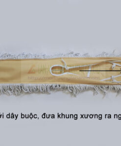 Cay-lau-kho-90cm-nhap-khau-02