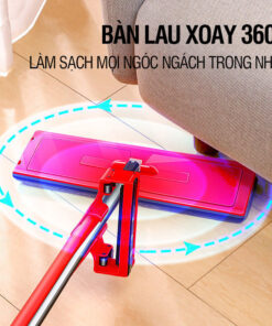 Cây Lau Nhà 360 độ