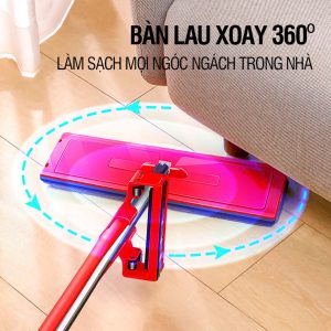 Cây Lau Nhà 360 độ