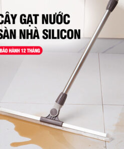 Cay Gat Nuoc San Nha