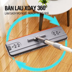 Cây Lau Nhà 360