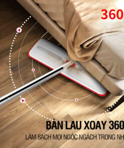 Cây Lau Nhà 360