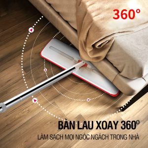 Cây Lau Nhà 360