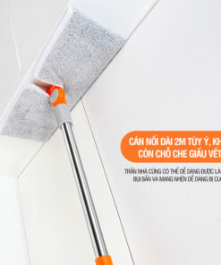 Cây Lau Trần Nhà