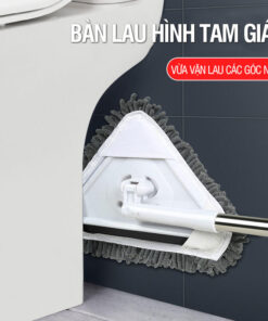 Cây Lau Tường Nhà